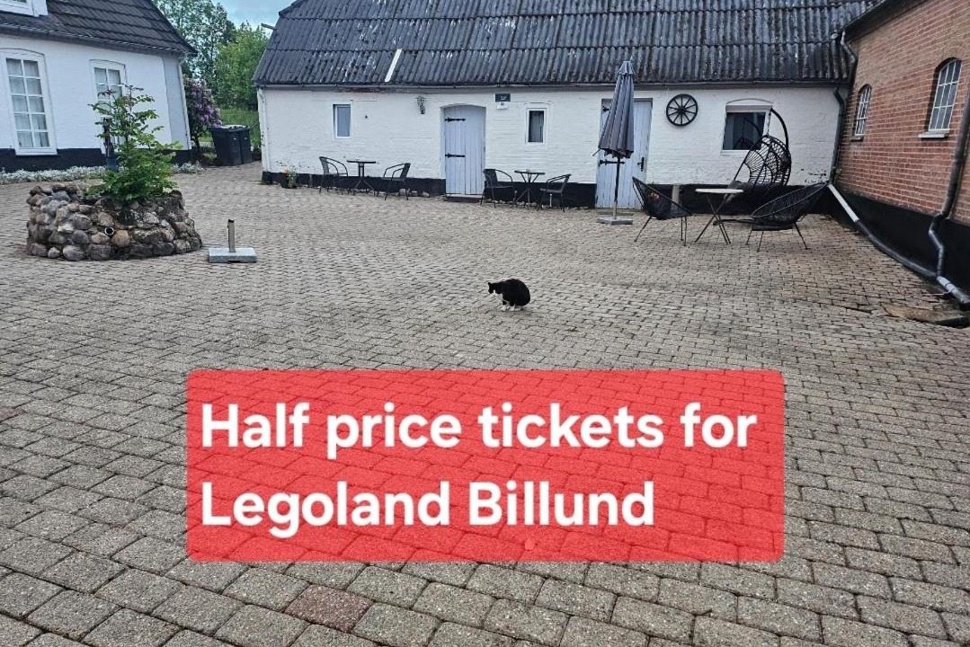 Photo of Others in Egtved