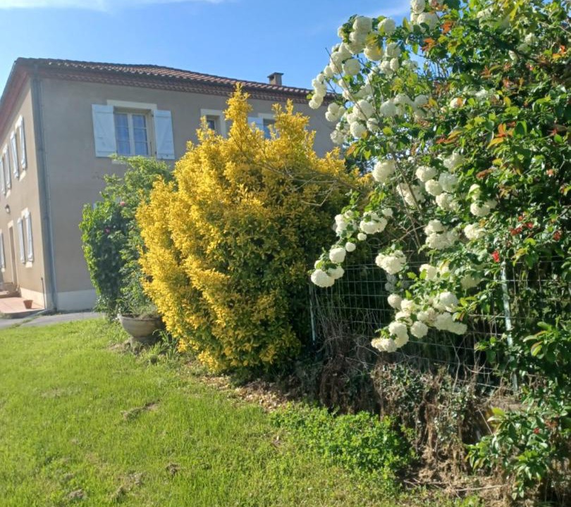 Photo of Outdoor in Clermont-Pouyguilles