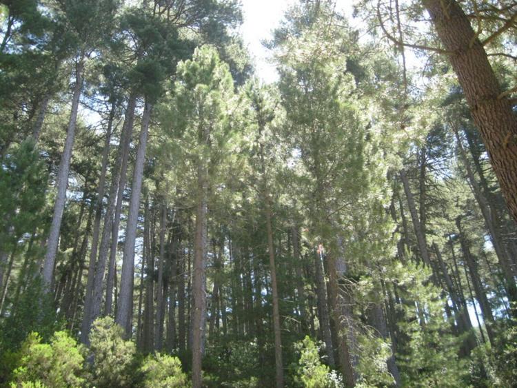 Photo of Outdoor in San Cipriano