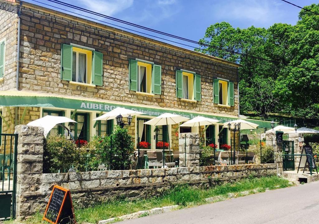 Photo of Others in San Cipriano