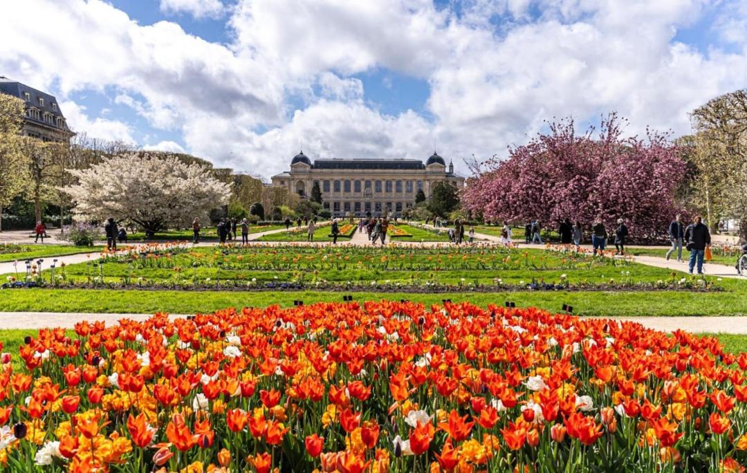 Photo of Others in Jardin des plantes
