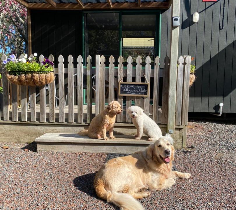 Photo of Others in Kumeu