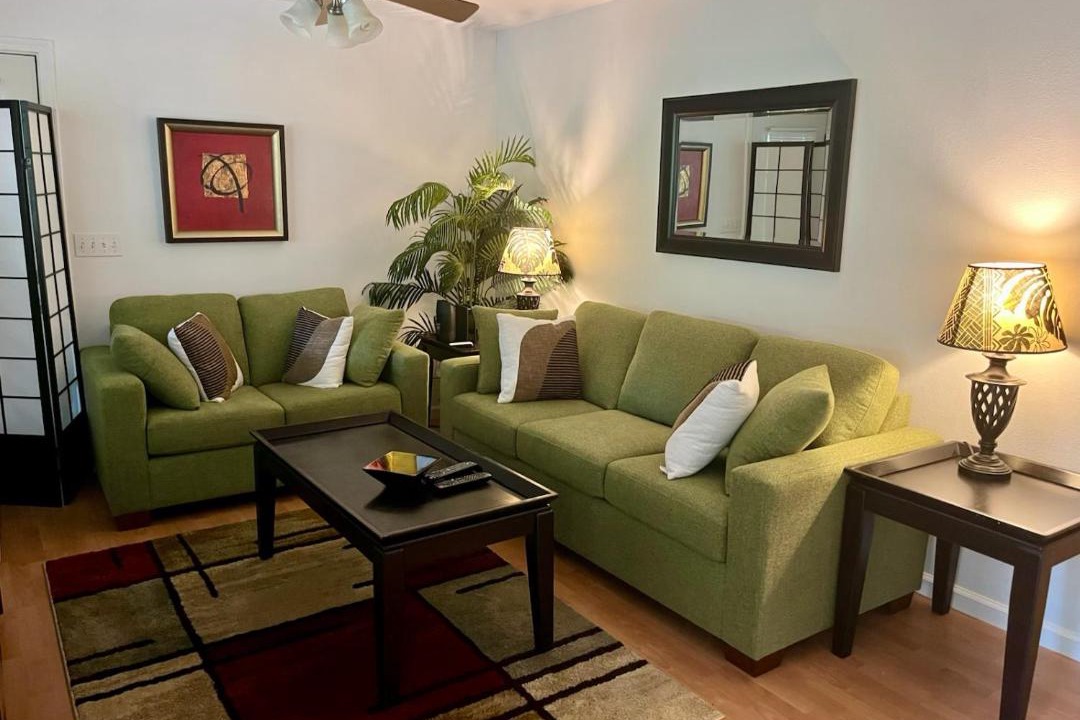 Photo of Livingroom in Volcano