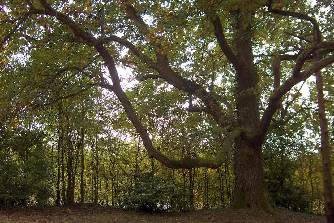 Photo of Others in Morlac