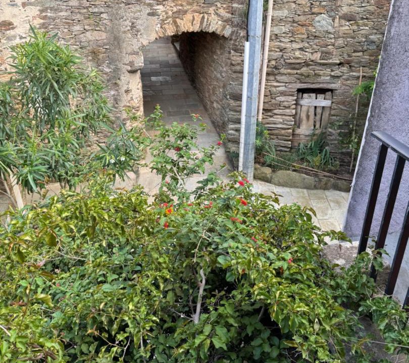 Photo of Others in Ersa