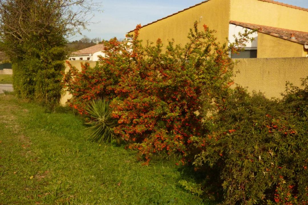 Photo of Others in Leuc