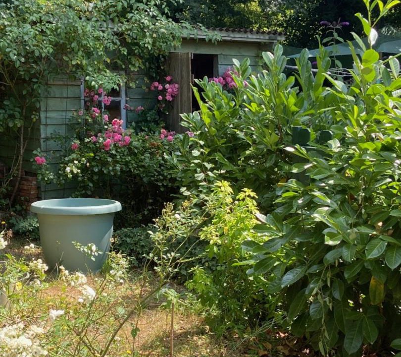 Photo of Others in Coulonges-sur-l'Autize