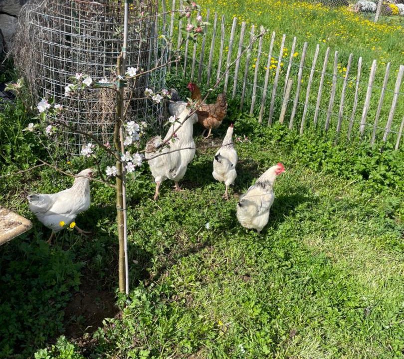 Photo of Outdoor in Lupsingen