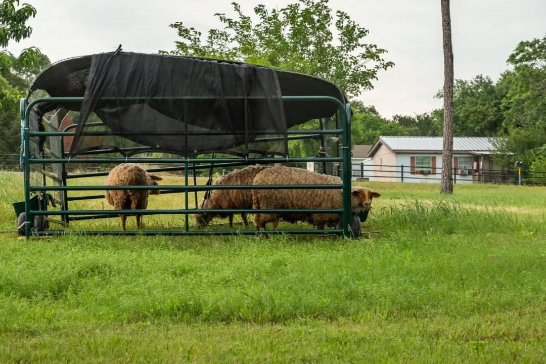 Photo of Others in Waco