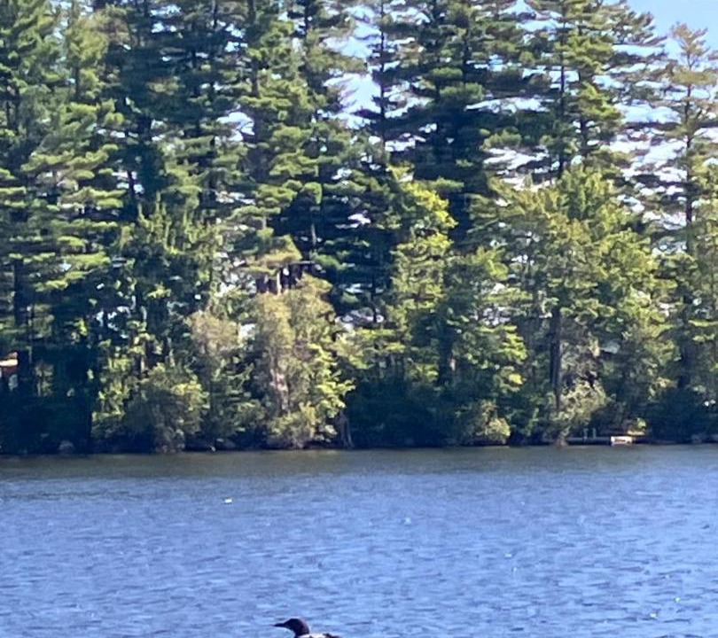 Photo of Others in Jefferson