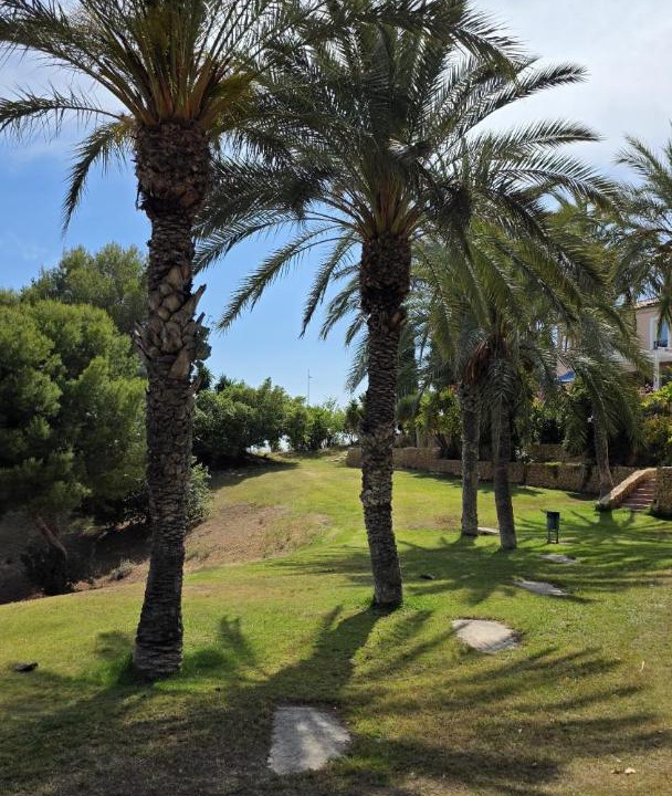 Photo of Others in Golf Bahia