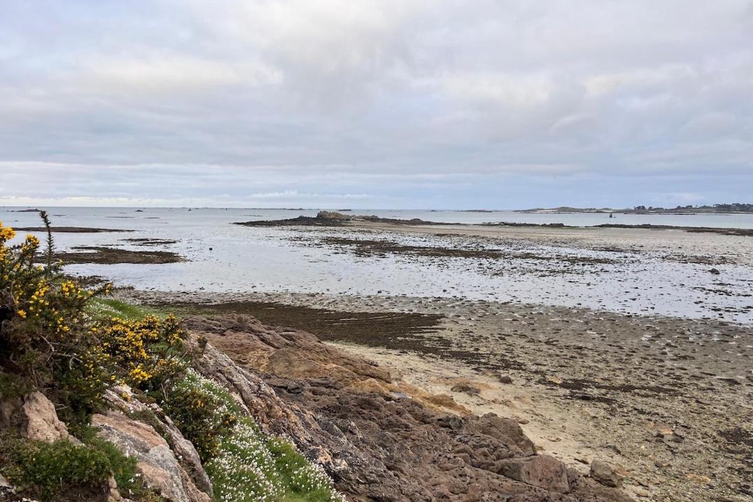 Photo of Others in Saint-Pol-de-Leon