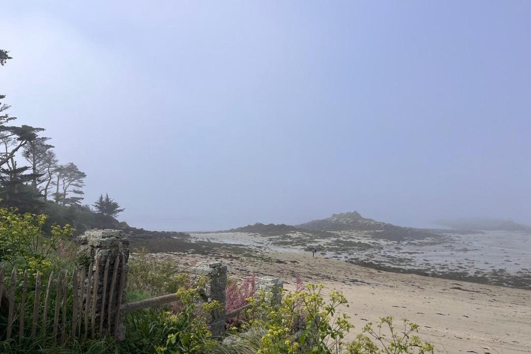 Photo of Others in Saint-Pol-de-Leon