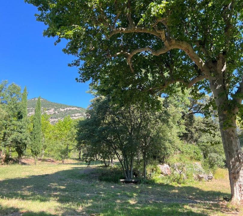 Photo of Others in Quissac