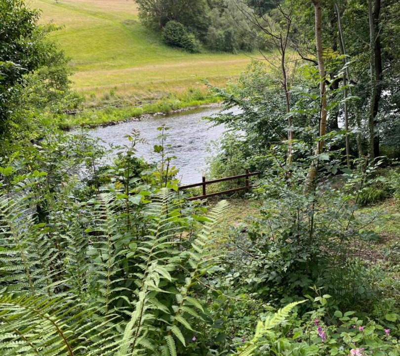 Photo of Others in Glyn-Dyfrdwy