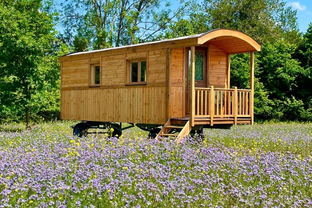 Photo of Others in La Vespiere