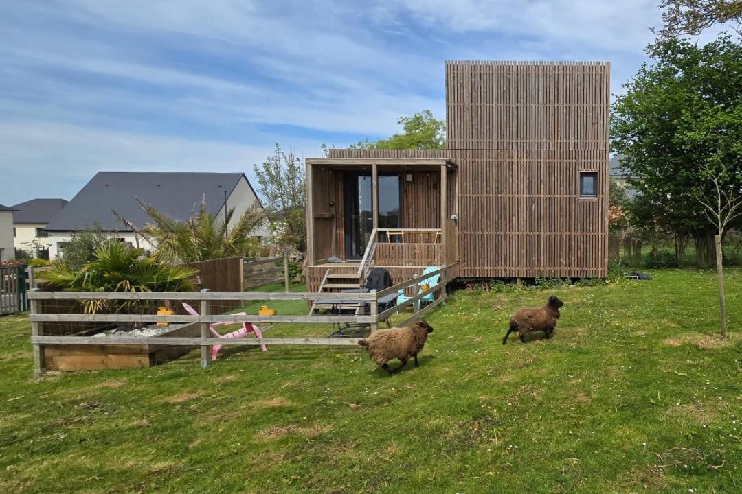 Photo of Others in Coulombs