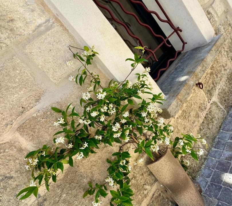 Photo of Others in Le Grau-Du-Roi