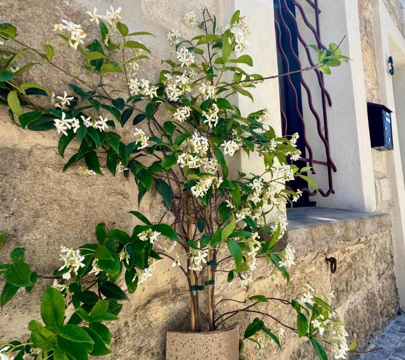 Photo of Others in Le Grau-Du-Roi