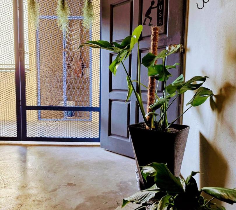 Photo of Others in Downtown George Town