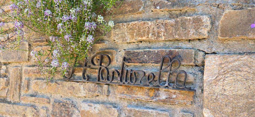 Photo of Others in Casamozza