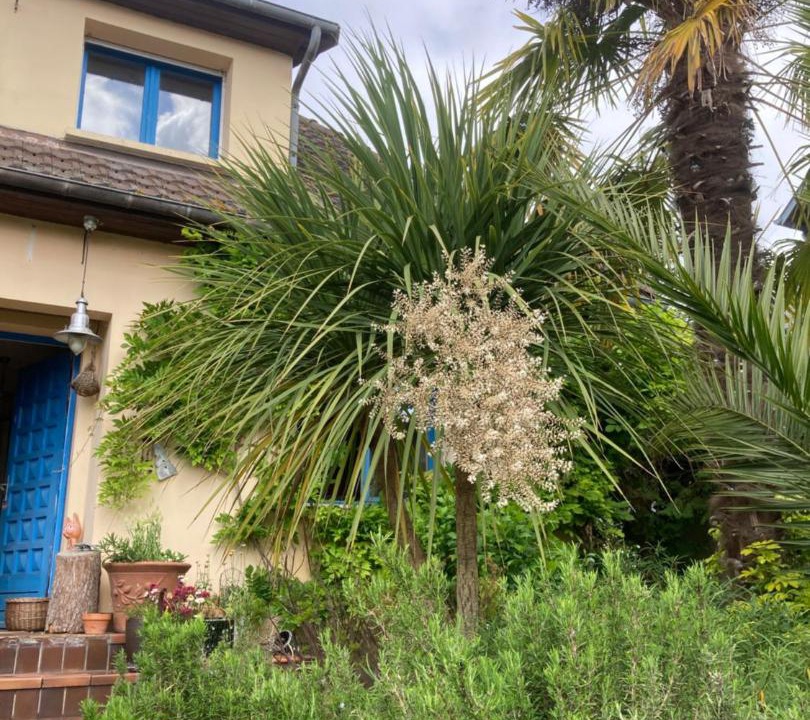 Photo of Others in Mondeville