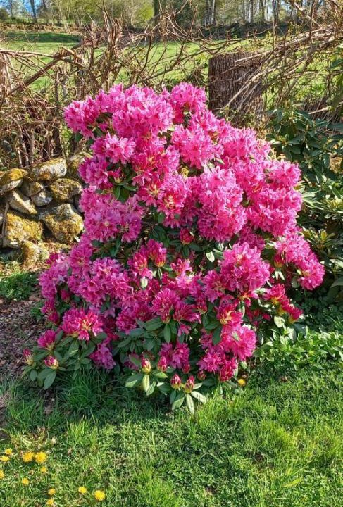 Photo of Others in Saint-Agnant-pres-Crocq