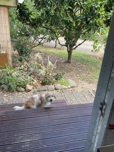 Photo of Others in Mangonui