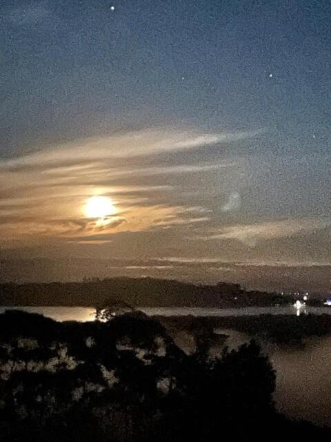 Photo of Others in Mangonui