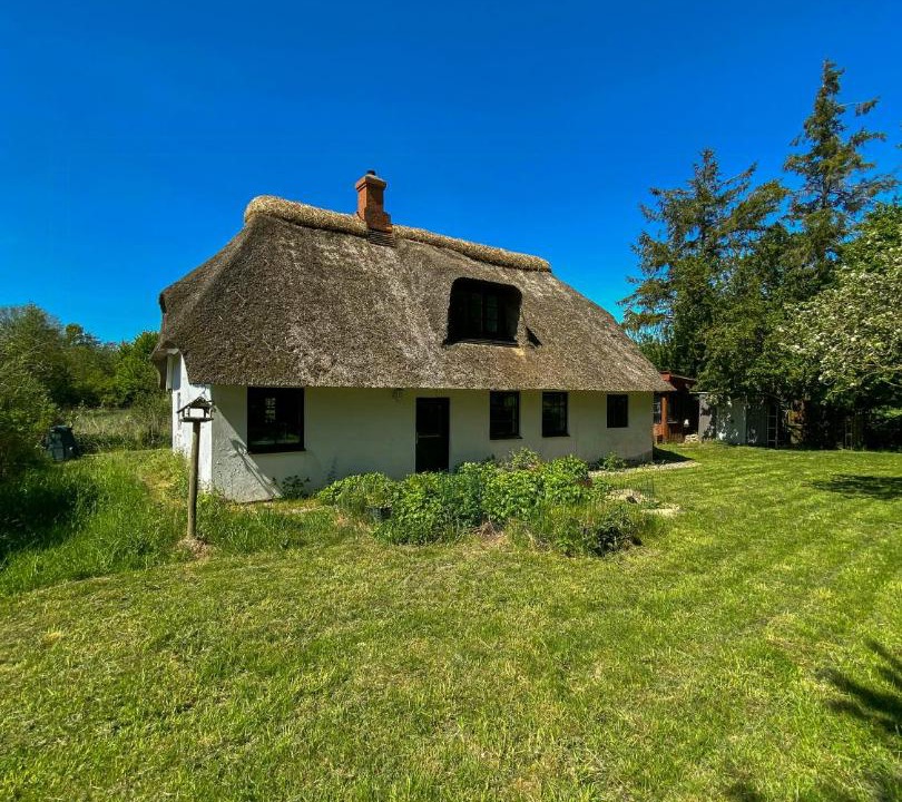Photo of Others in Østerskov