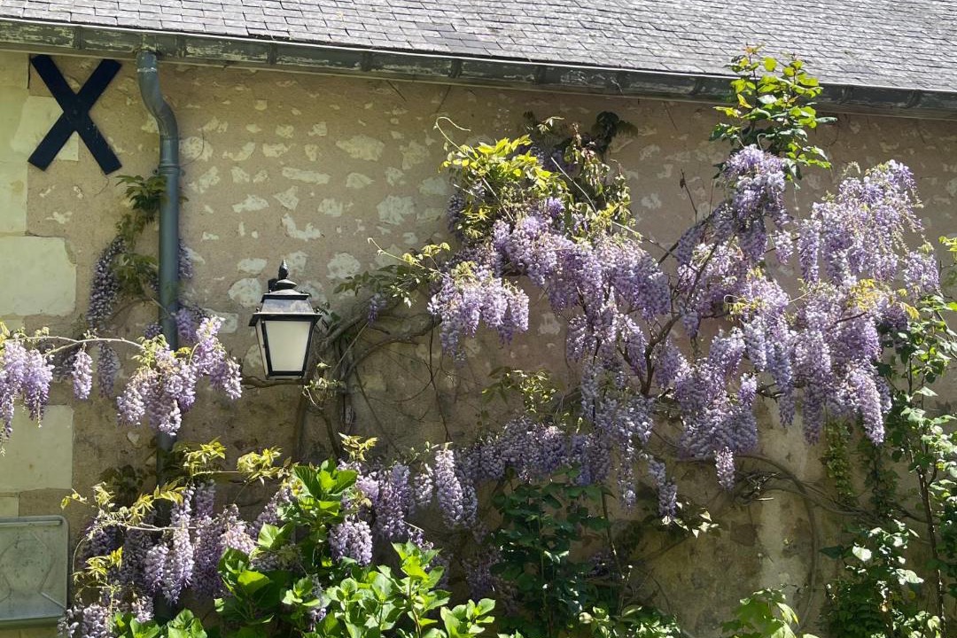 Photo of Others in Coulonge