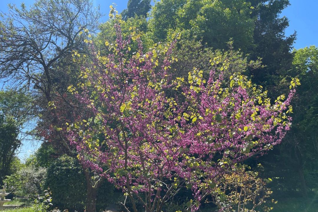 Photo of Outdoor in Coulonge