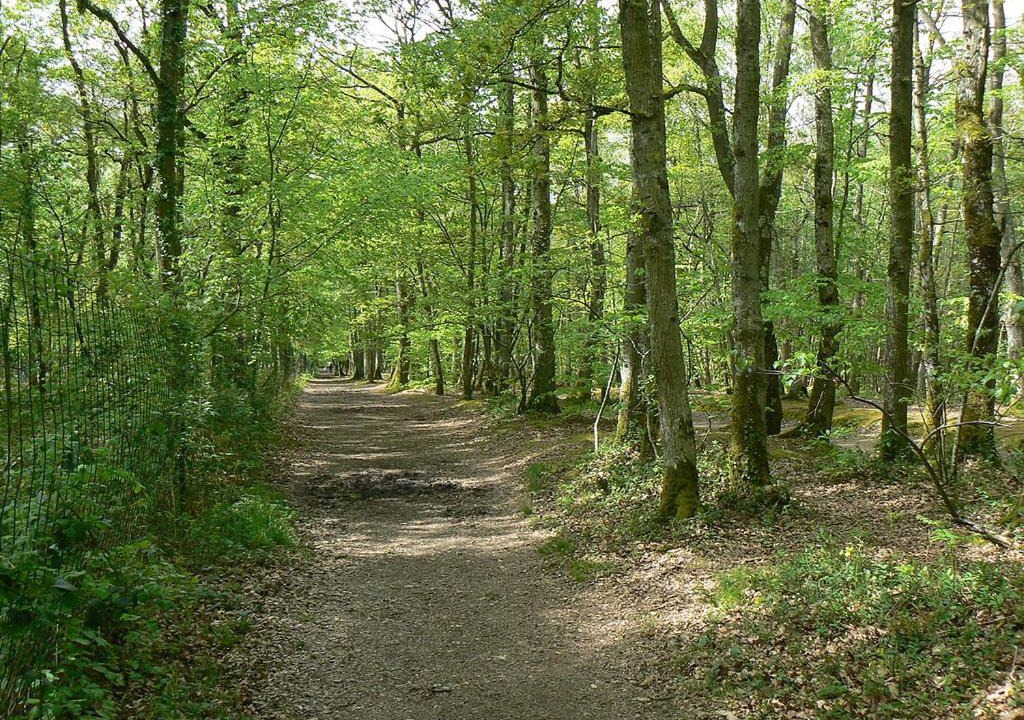 Photo of Others in Barbizon
