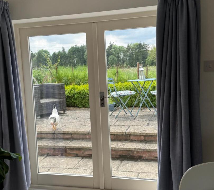 Photo of Others in Marlborough