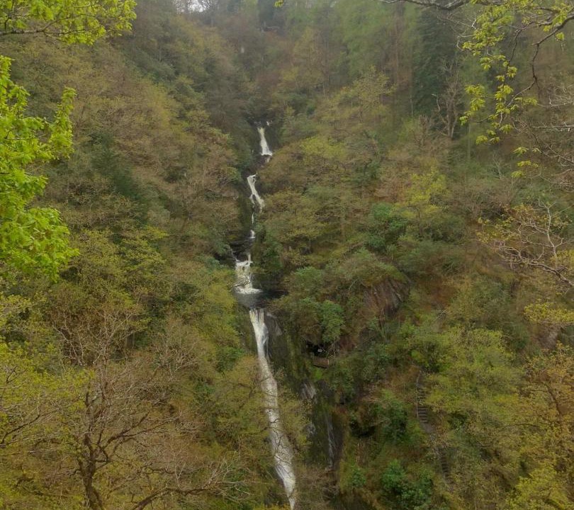 Photo of Others in Glandyfi