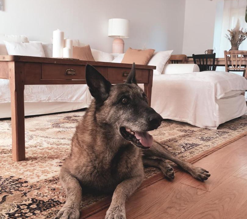 Photo of Others in Boissise-la-Bertrand