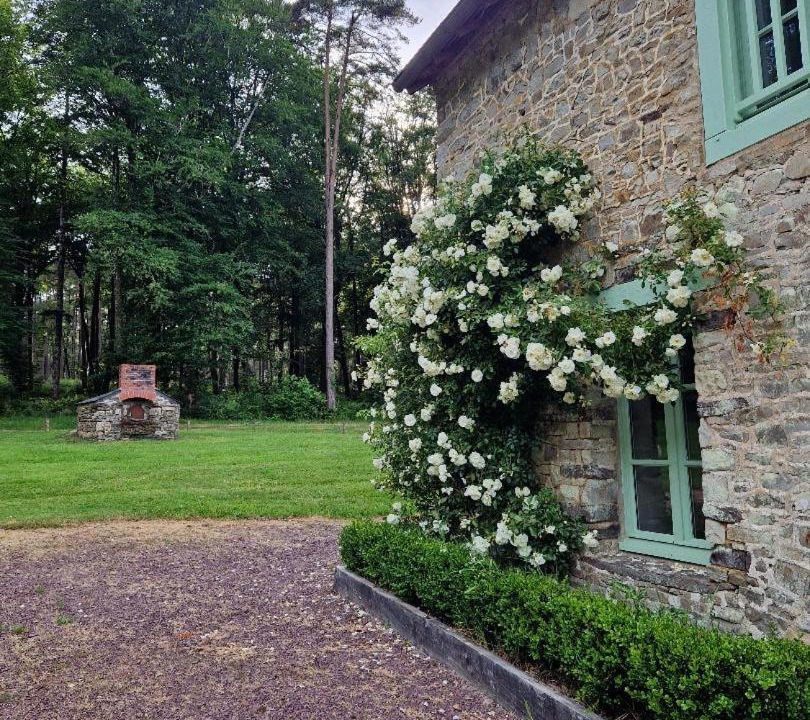 Photo of Others in Paimpont