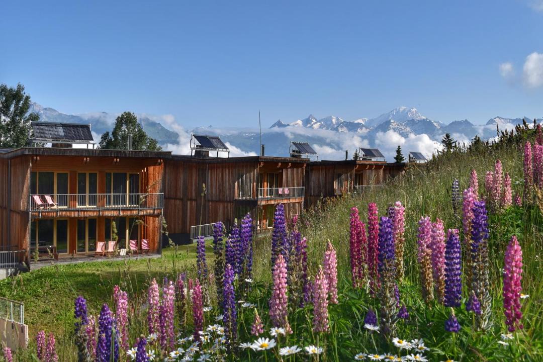 Photo of Others in Arc-1800