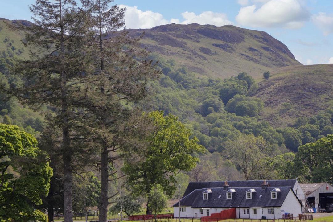 Photo of Others in Nostie