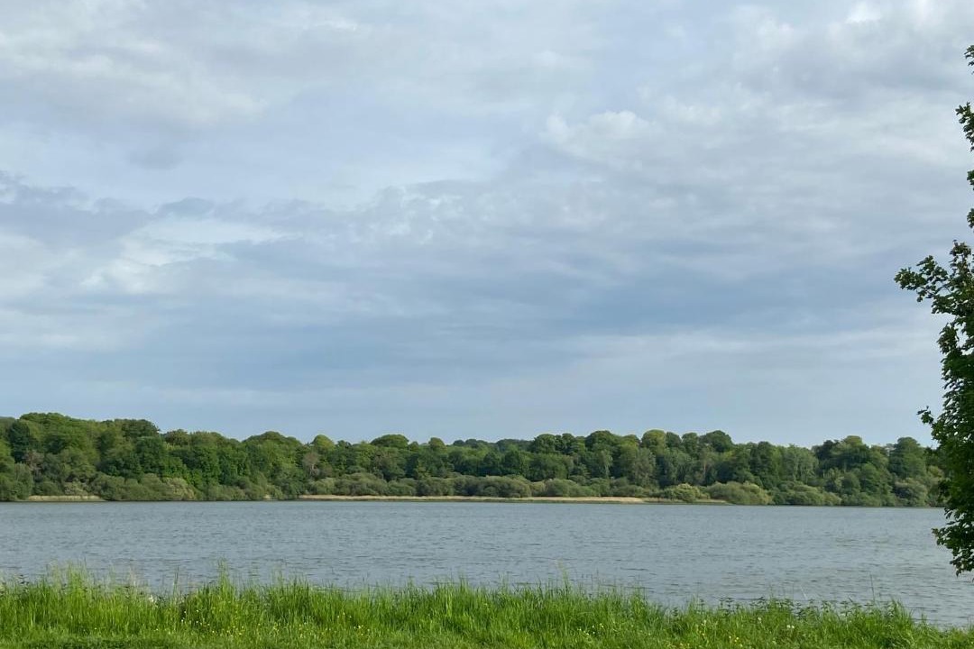 Photo of Others in Hede