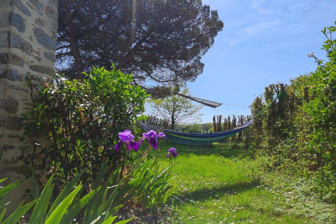 Photo of Others in Frossay