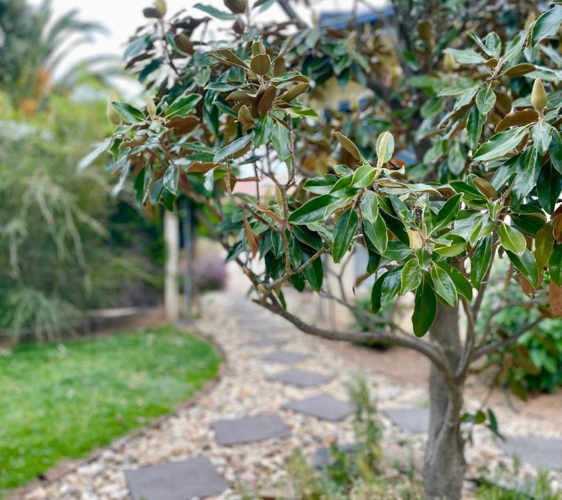 Photo of Outdoor in Benalla West