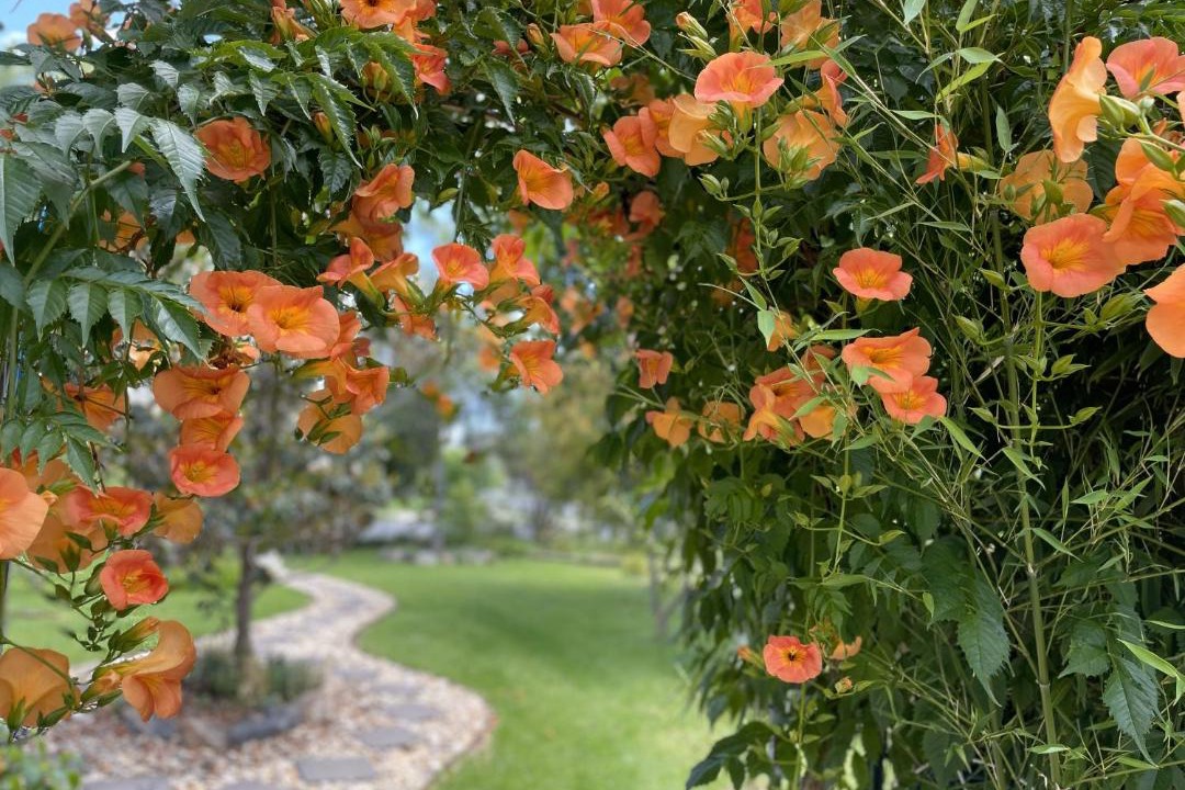 Photo of Others in Benalla West