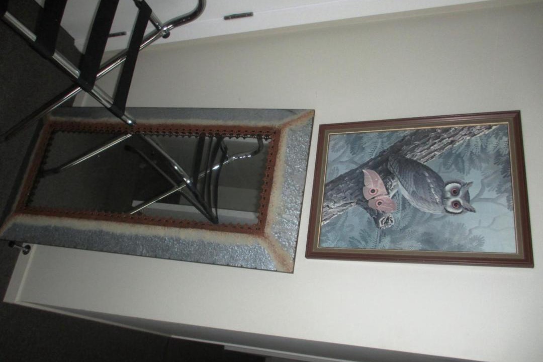 Photo of Others in Piopio