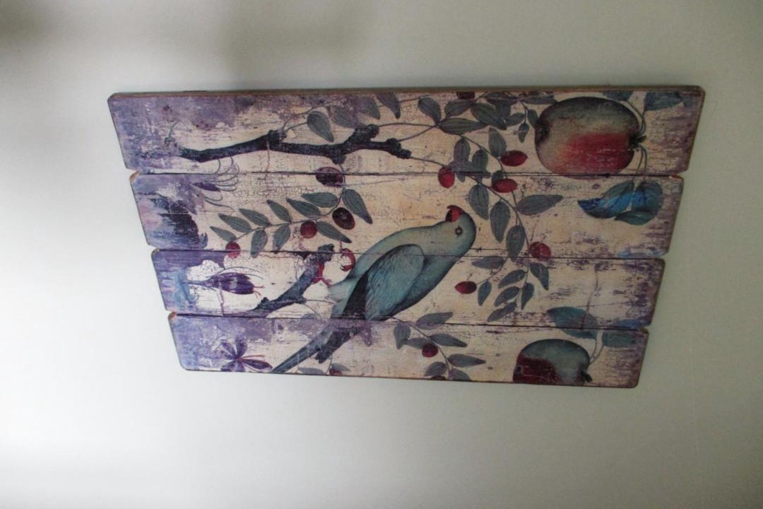 Photo of Others in Piopio