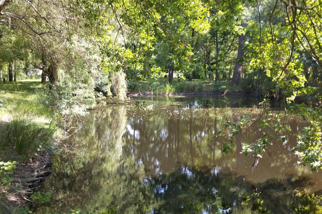 Photo of Others in Talais