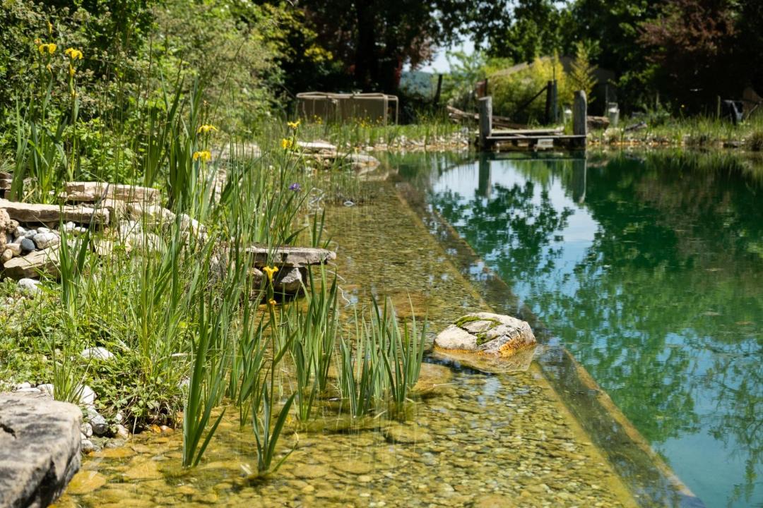 Photo of Others in Varen