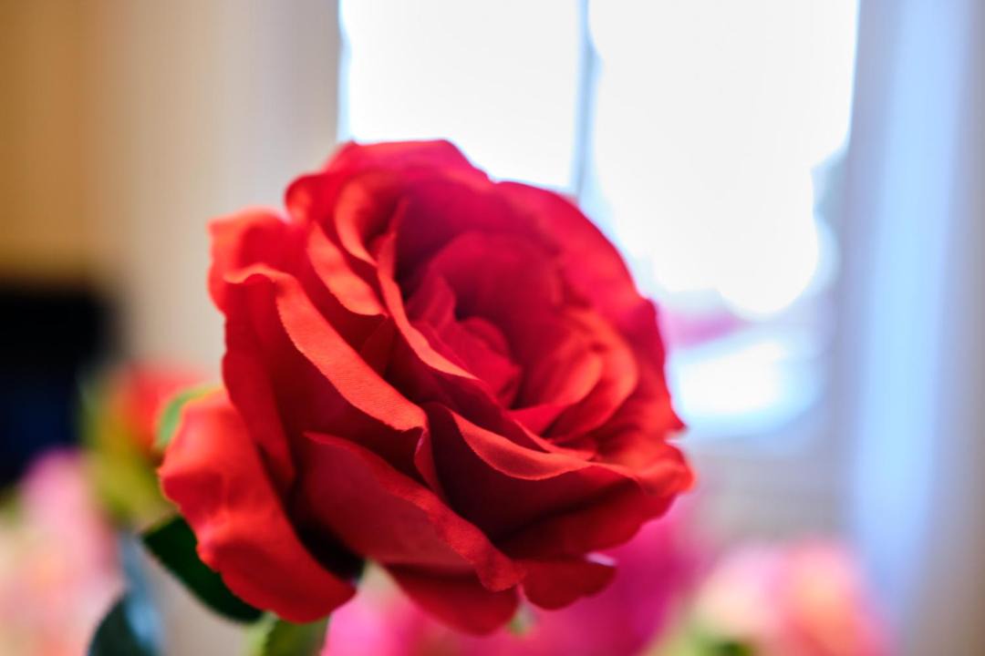 Photo of Others in Pierre-Chatel