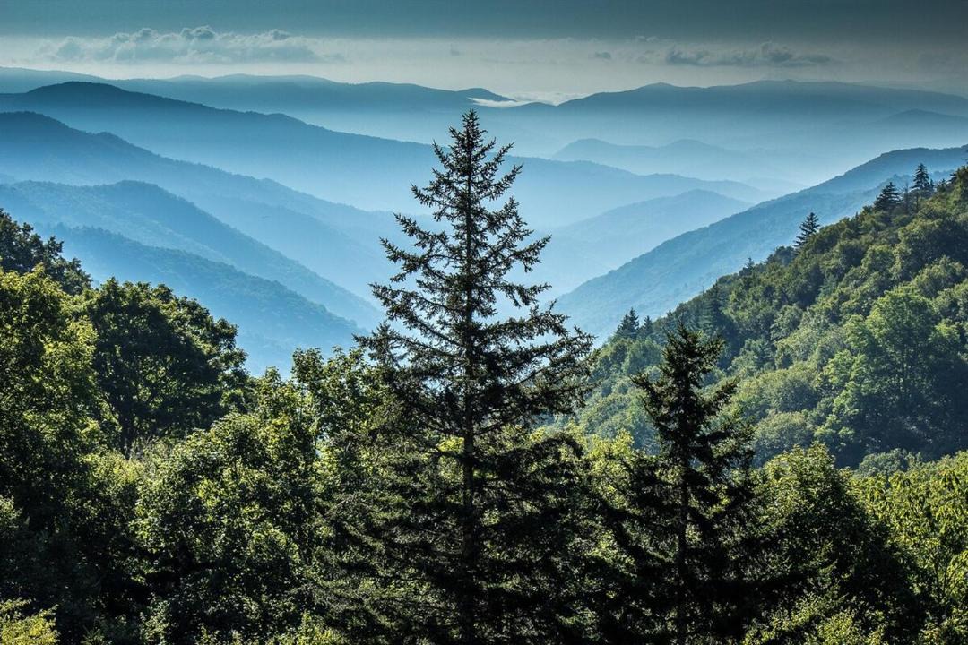 Photo of Others in Sevierville
