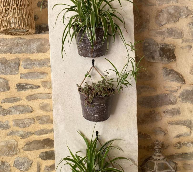 Photo of Others in Monteils